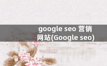 google seo 营销网站(Google seo)